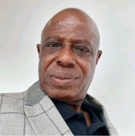 Ademola Akinlabi (Former Chairman, PJAN) 2
